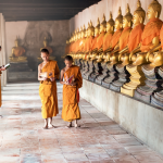 Do the different schools of Buddhism compete with each other?